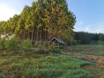 รวมบ้านที่ดินดีงามเพื่อคุณ  ขายที่ติดน้ำโขง ต.กุดบง โพนพิสัย หนอง