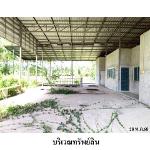 ขายบ้านเดี่ยว ต.โมถ่าย อำเภอ ไชยา จังหวัด สุราษฎร์ธานี