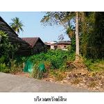 ขายที่ดินว่างเปล่า ต.ท่าข้าม อ.พุนพิน จ.สุราษฎร์ธานี