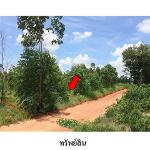 ขายที่ดินว่างเปล่า ถ.สายบ้านโป่งคองเหนือ-บ้านเขว้า อ.เมือง จ.ชัยภ