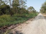 ขายที่ดิน1ไร่43ตร.ว.ย่านคลองสิบสองหนองจอกใกล้สโมสรหนองจอกซิตี้