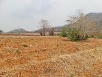 รวมบ้านที่ดินดีงามเพื่อคุณ  ขาย/เช่า ที่ติดภูเขาเมืองนครสวรรค์ 