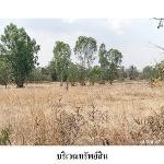 ขายที่ดินว่างเปล่า ต.กฤษณา อ.สีคิ้ว จ.นครราชสีมา