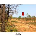 ขายที่ดินว่างเปล่า ต.นาฝาย อำเภอ เมืองชัยภูมิ จังหวัด ชัยภูมิ