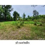 ขายที่ดินว่างเปล่า ถ.สายบ้านศรีเมือง - บ้านน้ำซับ ขอนแก่น