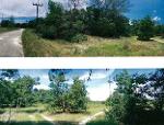ขายที่ดินว่างเปล่ามือสอง  อำเภอตะกั่วป่า   พังงา