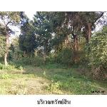 ขายที่ดินว่างเปล่า ต.เขื่องคำ อ.เมืองยโสธร จ.ยโสธร