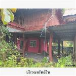 ขายบ้านเดี่ยว ถ.บ้านกระบาก-บ้านดอนลำดวล ต.โนนสูง อ.ยางตลาด จ.กาฬส