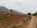 รวมบ้านที่ดินดีงามเพื่อคุณ  ขาย/เช่า ที่ติดภูเขาเมืองนครสวรรค์ 