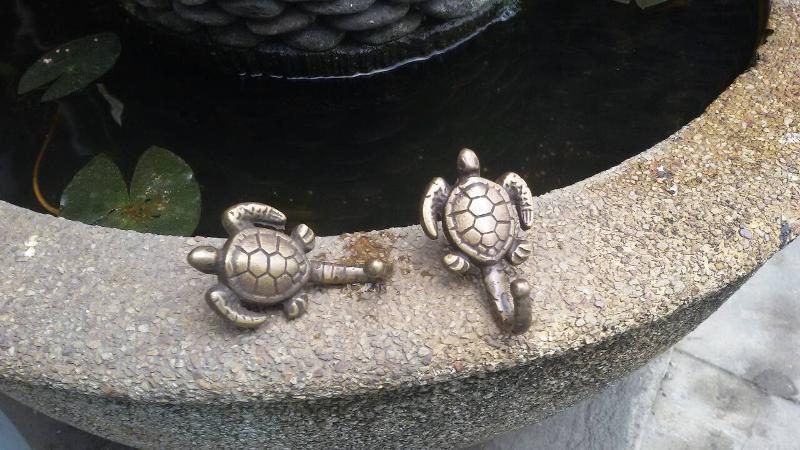 ขยายภาพ+